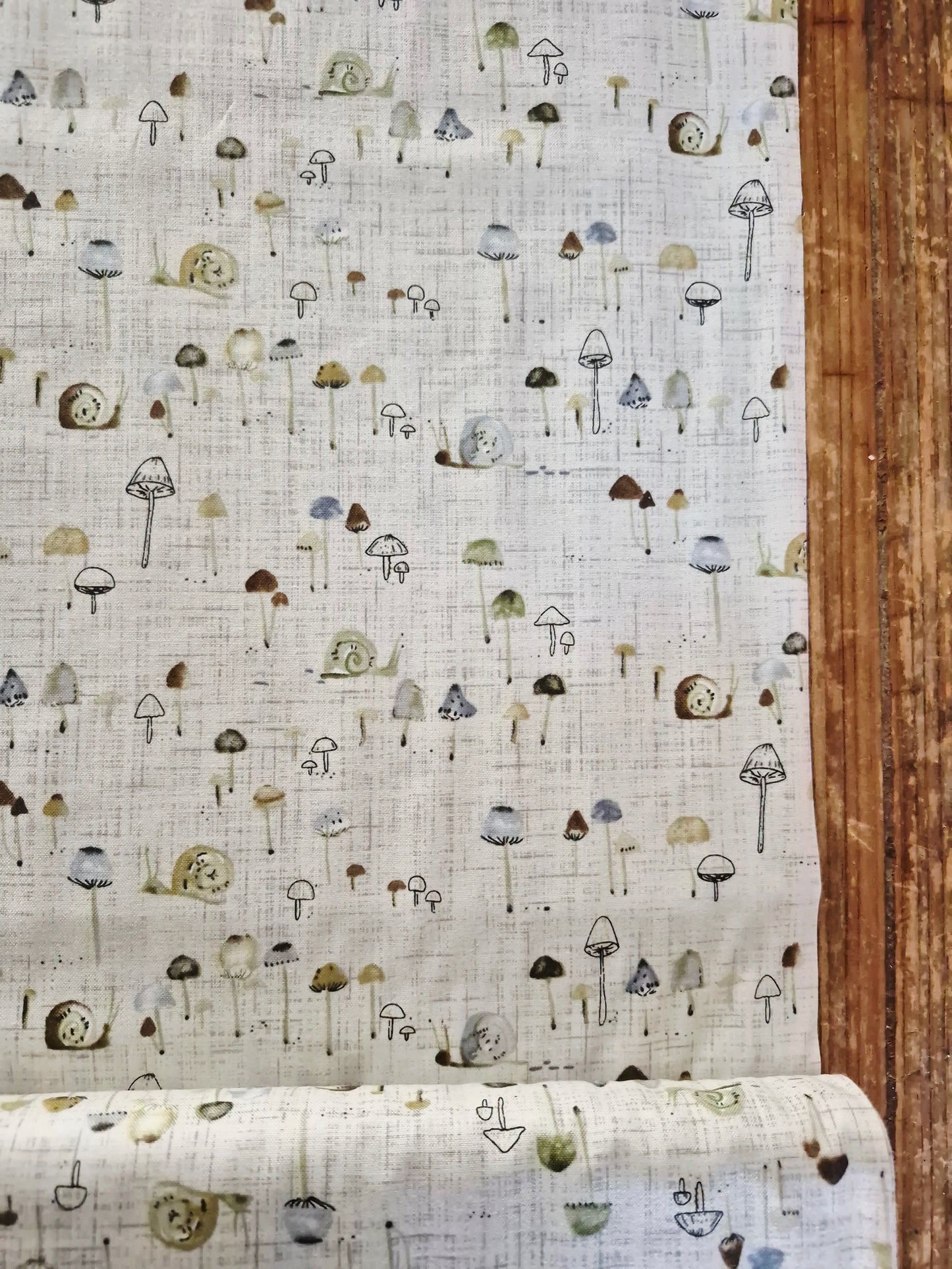 Snails from Grassland by Figo