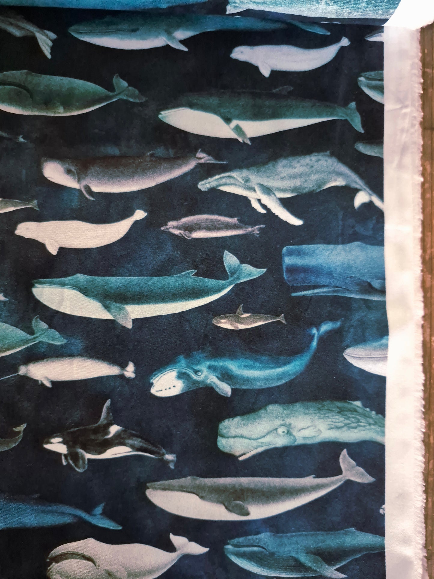 Whale Of a Time from Siren's Call by QT Fabrics