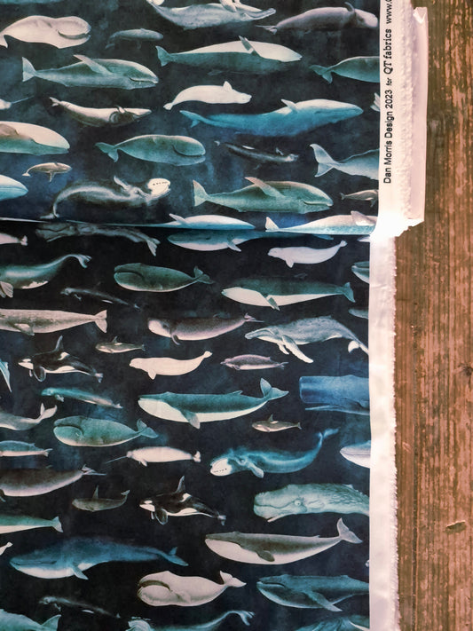 Whale Of a Time from Siren's Call by QT Fabrics – Per FQ (£15/m)