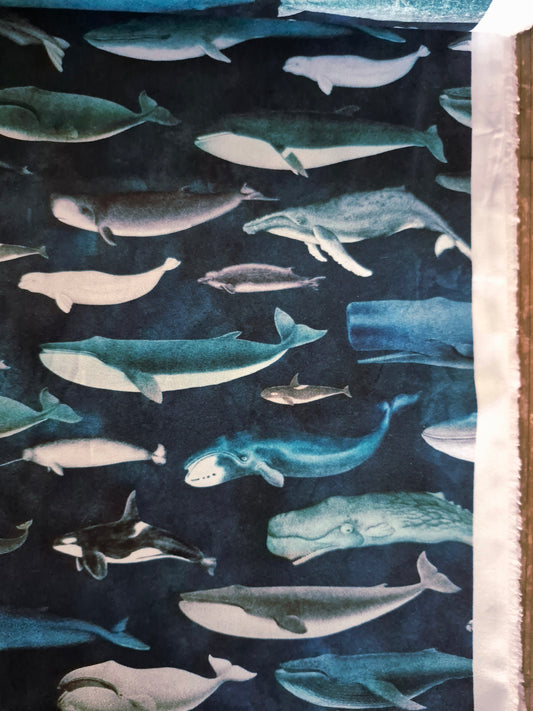 Whale Of a Time from Siren's Call by QT Fabrics – Per FQ (£15/m)